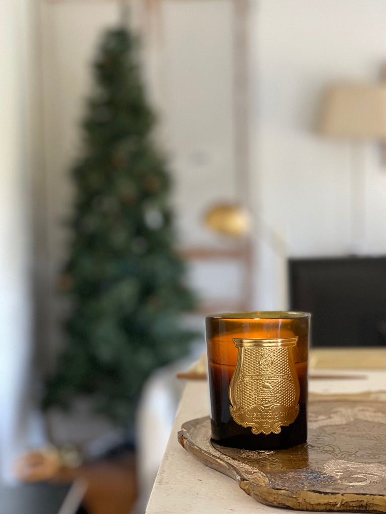 A Safe Holiday Season