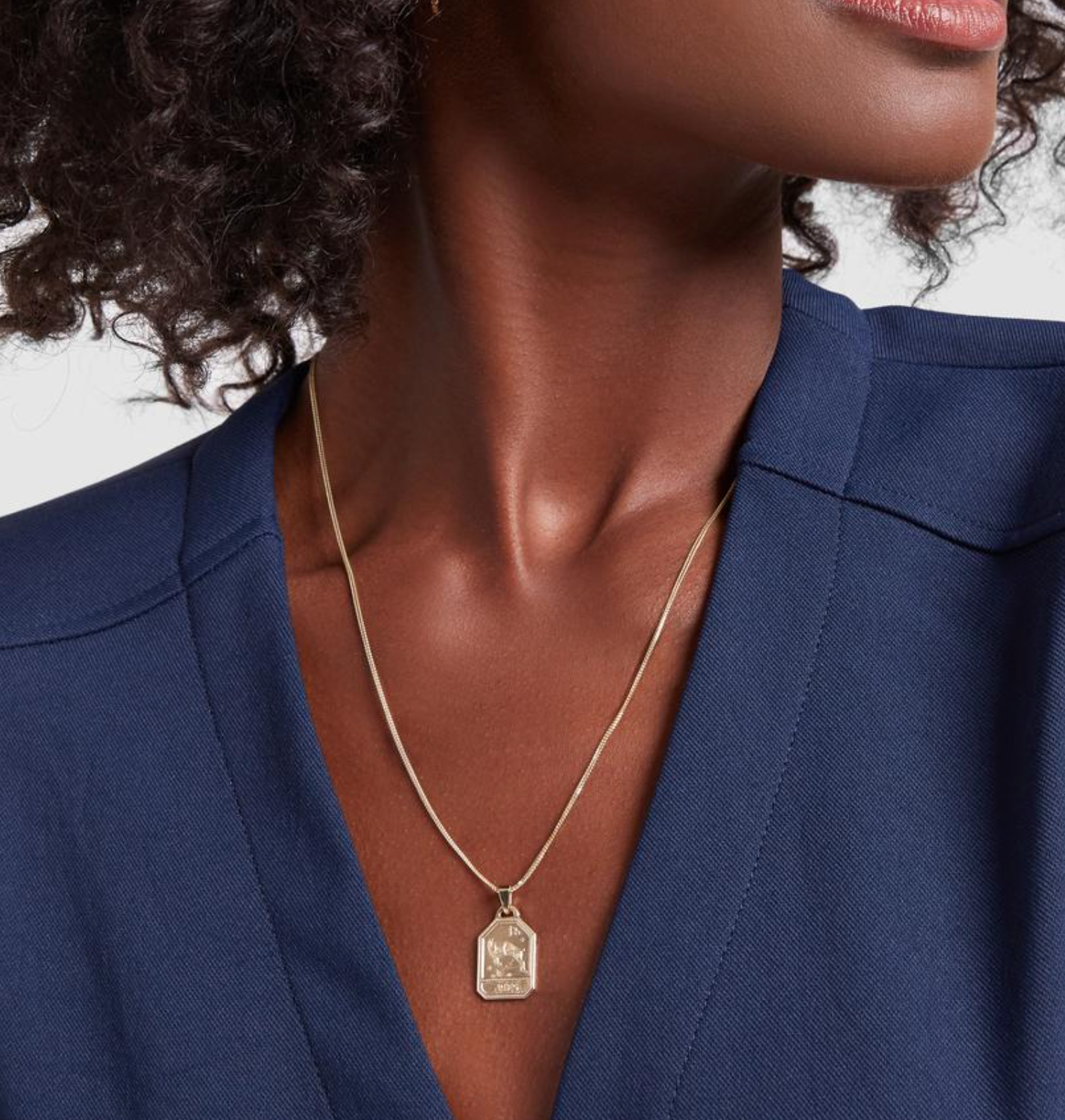 Zodiac Dog Tag Necklace – Broome Street General Store